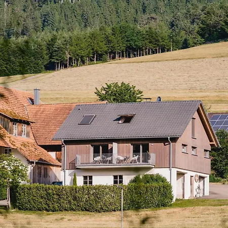 Apartmán Moderne, Gemuetliche Kinast A Host110 Im Herzen Des Schwarzwaldes
