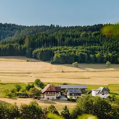 Moderne, Gemuetliche Kinast A Host110 Im Herzen Des Schwarzwaldes Apartmán Hofstetten (Baden-Wurttemberg)