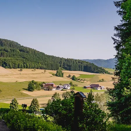 Moderne, Gemuetliche Kinast A Host110 Im Herzen Des Schwarzwaldes Apartmán Hofstetten (Baden-Wurttemberg)