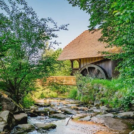Apartmán Moderne, Gemuetliche Kinast A Host110 Im Herzen Des Schwarzwaldes