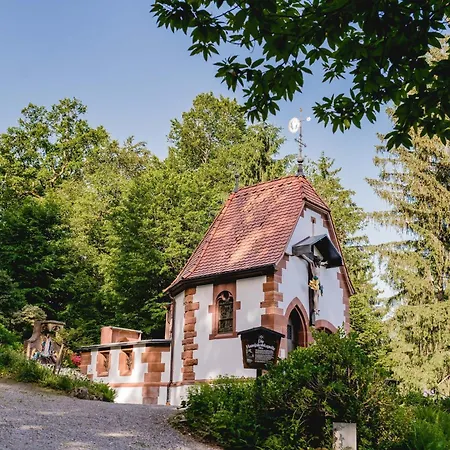 Moderne, Gemuetliche Kinast A Host110 Im Herzen Des Schwarzwaldes * Hofstetten (Baden-Wurttemberg)