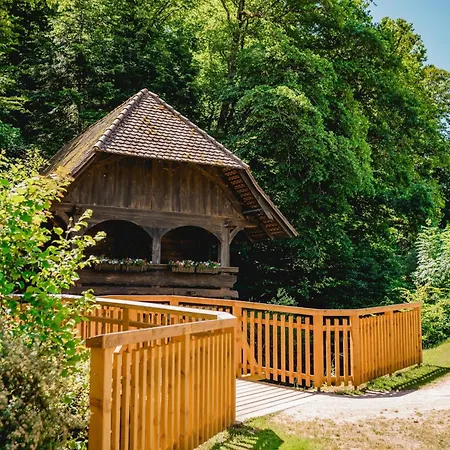 Apartmán Moderne, Gemuetliche Kinast A Host110 Im Herzen Des Schwarzwaldes *